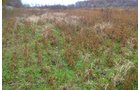 Property photo 28 - 80 Acres & Home - Property Offered in 4 Tracts from 2.3 to 30.0 Acres